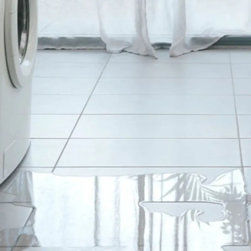 Appliance Leak Cleanup in Highland, WA