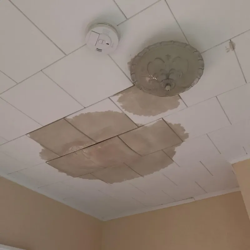 Ceiling Water Damage Repair in Highland, WA