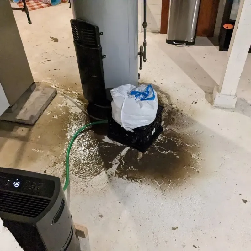 Sewage Backup Cleanup Service in Highland, WA